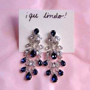 Navy and Silver Elegant Earrings